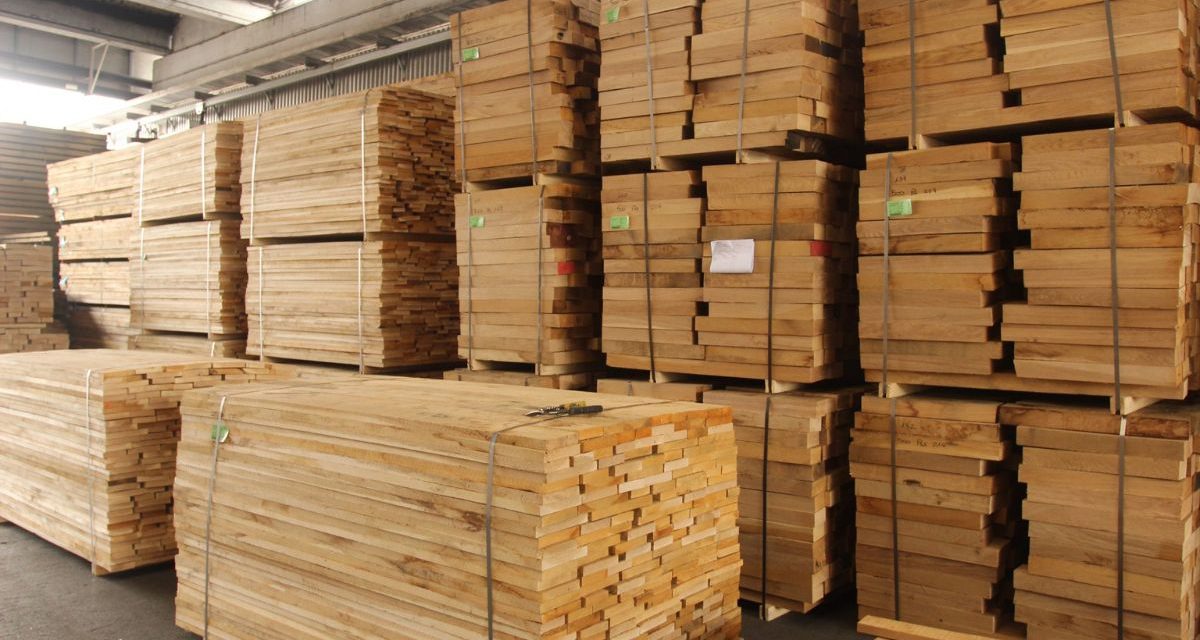 Các loại gỗ giá rẻ tại Việt Nam – Đặc điểm, ứng dụng và lưu ý khi lựa chọn
