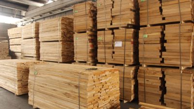 các loại gỗ giá rẻ làm nội thất tại việt Nam