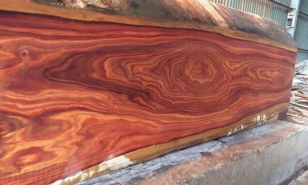 Các loại gỗ quý Việt Nam – Đẳng cấp trong từng thớ gỗ | Kênh Nội Thất Việt