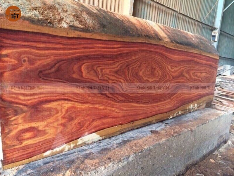 các lọa gỗ quý hiếm tại VIỆT NAM