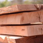 10 loại gỗ tự nhiên được yêu thích trong thi công nội thất