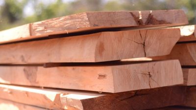 Các loại gỗ tự nhiên được yêu thích trong thi công nội thất