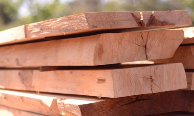 10 loại gỗ tự nhiên được yêu thích trong thi công nội thất