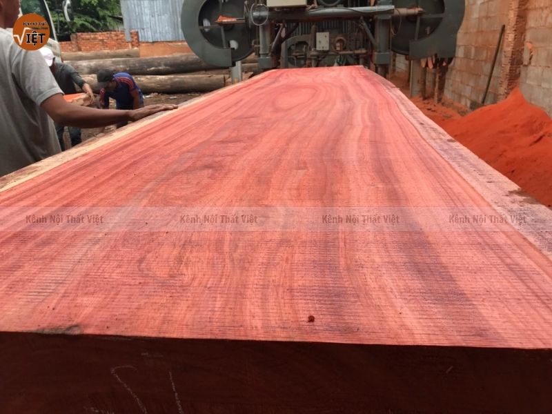 Gỗ hương được yêu thích vì màu sác và giá trị
