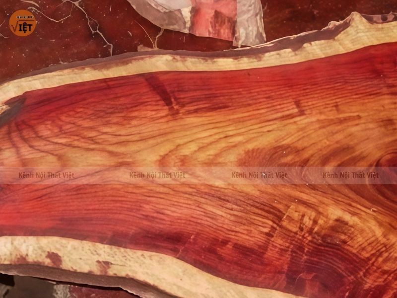 hình ảnh gỗ trắc đỏ quý hiếm tại Việt Nam