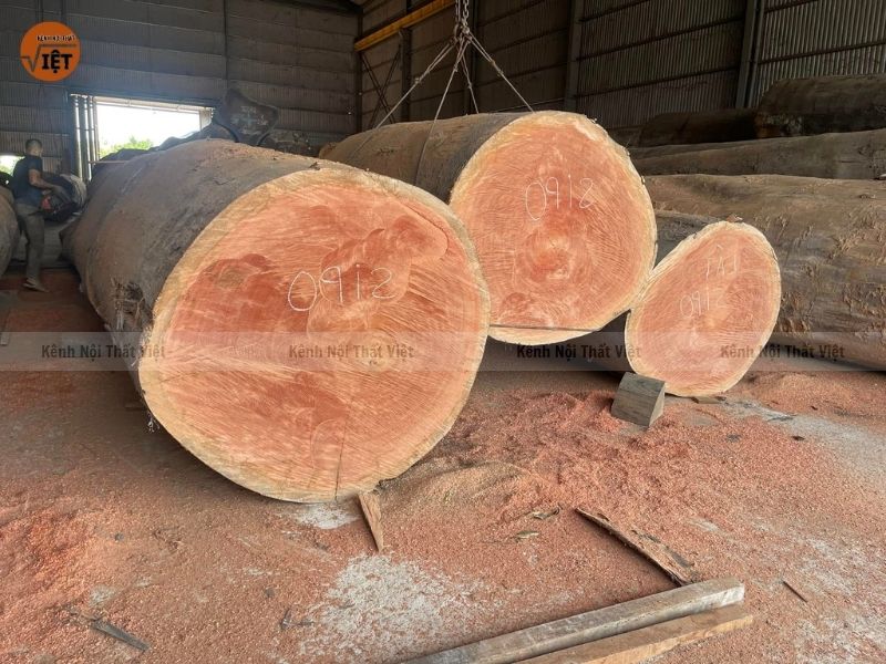 Gỗ xoan đào thường làm tủ bếp và giường ngủ
